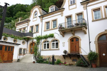 Ein elegantes Gebäude mit einer schönen Fassade und Holztüren. Pflanzen und Blumen schmücken den Eingang und die Fenster.