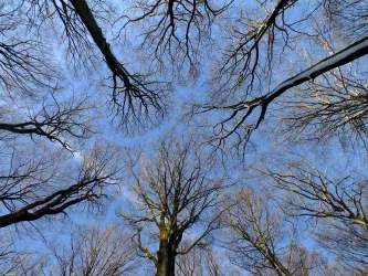 Winter (© Stadt Bad Dürkheim)