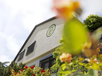 Außenansicht auf das Weingut Pfeffingen