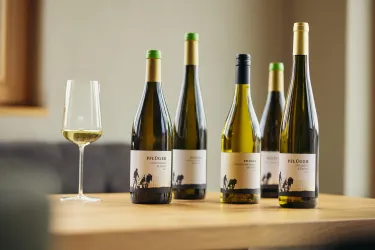 Eine Auswahl von Weinflaschen steht auf einem Holztisch. Neben den Flaschen steht ein Weinglas, gefüllt mit Weißwein.