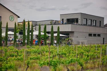 Ein modernes Weingut mit vielen grünen Reben. Auf der Terrasse sitzen Menschen und genießen die Aussicht.