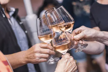 Vier Gläser mit Roséwein stoßen miteinander an. Die Hände von mehreren Personen sind sichtbar, die eine festliche Stimmung vermitteln.