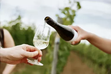 Natürlich gibt es beste Dürkheimer Weine