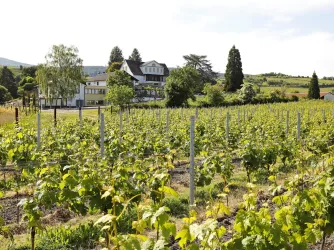 Anwesen mit Weinbergen