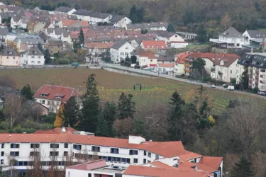 Abtsfronhof von Oben (© Stadt Bad Dürkheim)