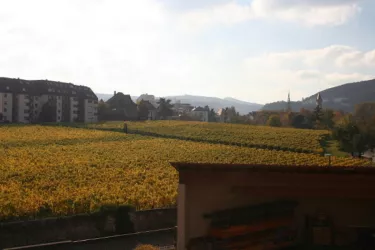 Abtsfronhof im Herbst (© Stadt Bad Dürkheim)