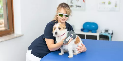Lasertherapie (© Stadt Bad Dürkheim)