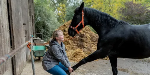 Manuelle Therapie (© Stadt Bad Dürkheim)