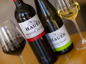 Weingut Hauer Weinflaschen