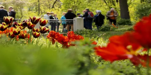 Kurpark (© melhubach photographie)