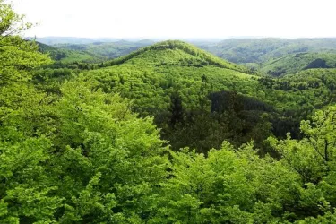 Drachenfels Aussichtspunkt Westfels 2