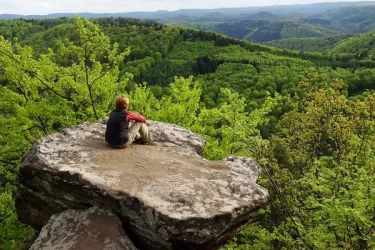 Drachenfels Aussichtspunkt Südfels1