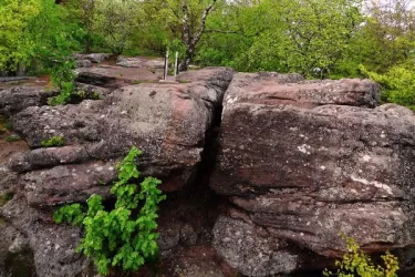 Drachenfels Südfels Felsplatte