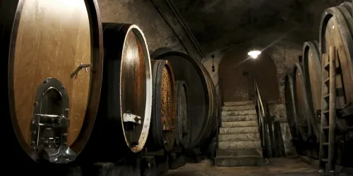 Ein Weinkeller mit großen Holzfässern und sanftem Licht. Eine steinerne Treppe führt zu einem höheren Bereich.
