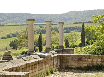 Römisches Weingut Weilberg