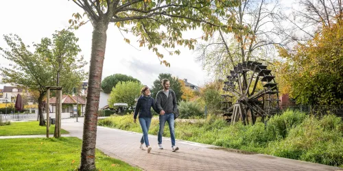 Wasserad im beginnendem Herbst