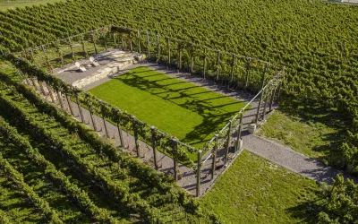 Weingut Fitz Ritter Rebarena Luftbild