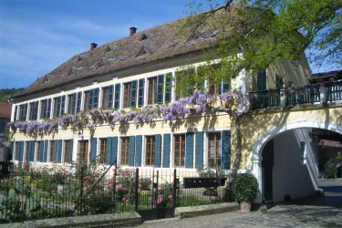 Vorgarten im April