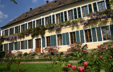 Weingut