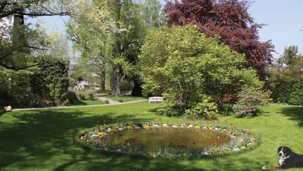 Springbrunnen