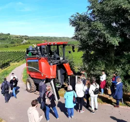Gruppe mit Vollernter (© Stadt Bad Dürkheim)