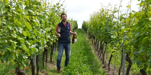 Maxim im Weinberg