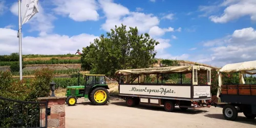 Planwagen auf dem Parkplatz Weingut Lang