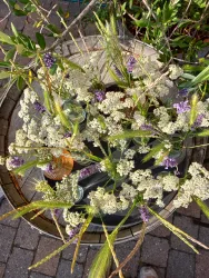Ein rundes Tablett mit verschiedenen Blumen, darunter weiße und lila Blüten. Die Blumen sind in Glasvasen angeordnet und umgeben von grünen Pflanzen.