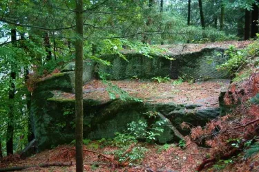 Römischer Steinbruch Krummholzer Stuhl