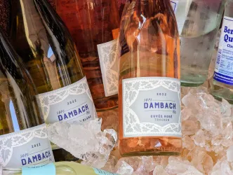 Ein Arrangement von Flaschen mit Roséwein von Dambach, umgeben von Eis. Die Flaschen haben ein elegantes Design und stehen bereit für eine Sommerfeier.