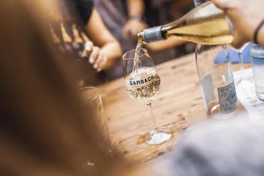 Ein Glas wird mit Wein gefüllt. Im Hintergrund sind weitere Gläser und eine Holzoberfläche zu sehen.