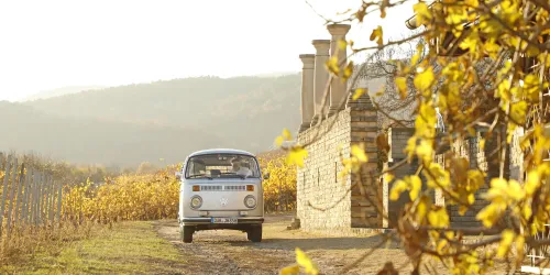 Ein mittelalterlicher Mönch in einer dunklen Robe steht vor einer alten Mauer. Er spricht mit gestikulierenden Händen.