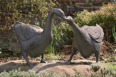 Gänse