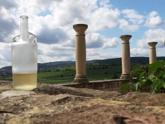 Die Römer und der Wein