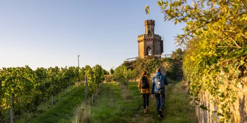 Flaggenturm mit Wanderern im Herbst (© Pfalz Touristik e.V., Fachenbach Medienagentur)