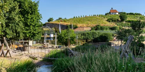 Wasserspielplatz mit Hängebrücke