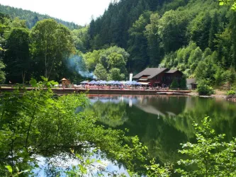 Forsthaus zur Isenach und Weiher