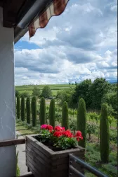 Fewo Aussicht
