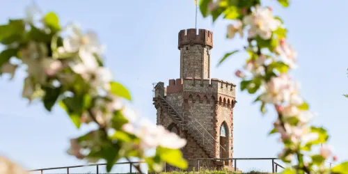 Ein historischer Turm mit einer Treppe und einem Ziegeldach. Umgeben von blühenden Pflanzen und klarem Himmel.