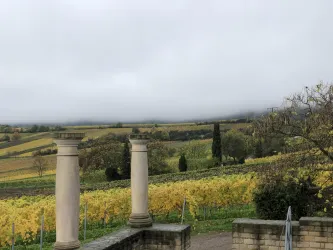 Herbst Weinberge