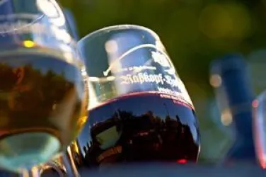 Zwei Weingläser stehen im Vordergrund, eines mit weißem und eines mit rotem Wein. Im Hintergrund sind verschwommene Flaschen und eine grüne Umgebung sichtbar.