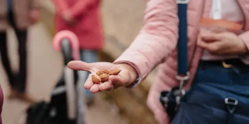 Eine Hand hält mehrere Mandeln. Im Hintergrund sind unscharfe Personen zu sehen.