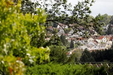 Ausblick im Sommer (© Stadt Bad Dürkheim)