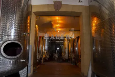 Ein Blick in eine Weinkellerei mit großen Edelstahltanks im Vordergrund. Das warme Licht schafft eine einladende Atmosphäre.