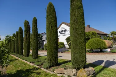 Ein gepflegter Weg mit hohen Zypressen führt zu einem Haus mit einem großen Schild. Die Bepflanzung gibt der Umgebung ein einladendes und frisches Aussehen.