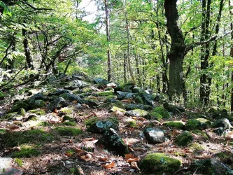 Im Sommer (© Stadt Bad Dürkheim)