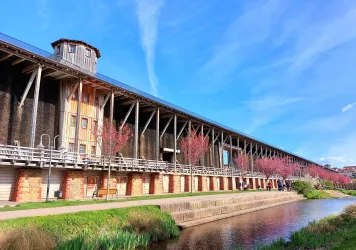 Gradierbau Kirschblüte (© Petra Petry)