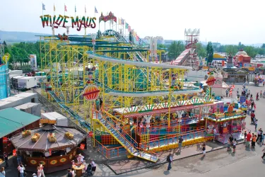 Wilde Maus