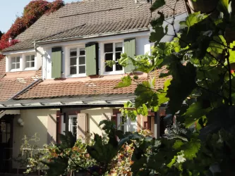 Hausansicht Garten