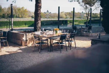 Ein einladender Außenbereich mit Tischen und Stühlen unter einem Baum. Die Umgebung ist grün und ruhig, ideal für ein gemütliches Essen.